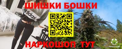 прущие грибы Краснодар