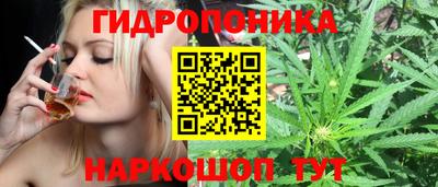 прущие грибы Краснодар