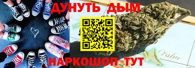 прущие грибы Краснодар