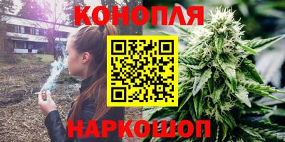 прущие грибы Краснодар
