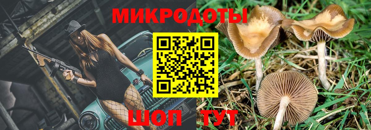 Карабулак  Псилоцибиновые грибы GOLDEN TEACHER  Вход с VPN 